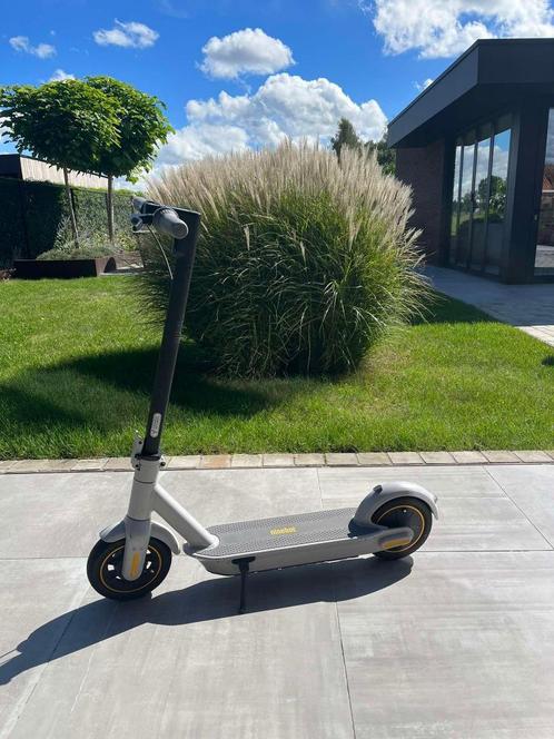 Ninebot G30 Max Kickscooter, Vélos & Vélomoteurs, Trottinettes, Comme neuf, Step électrique (E-scooter), Enlèvement