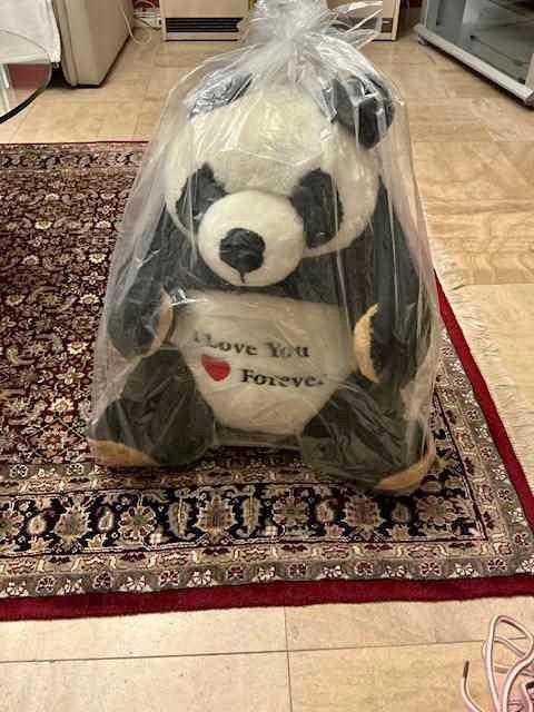 pandabeer, Kinderen en Baby's, Speelgoed | Knuffels en Pluche, Ophalen, Nieuw, Beer