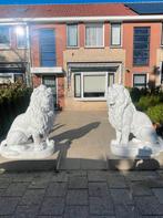 Kolossale betonnen leeuwen, Tuin en Terras, Ophalen of Verzenden, Nieuw, Beton, Dierenbeeld