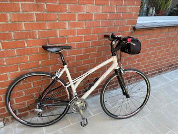 Koga Sportieve damesfiets beschikbaar voor biedingen