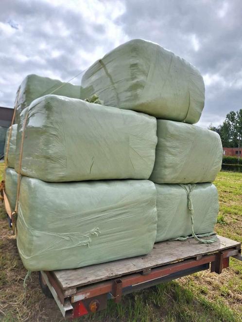voordroog voor paarden en droog hooi, Dieren en Toebehoren, Dierenvoeding, Overige soorten, Ophalen