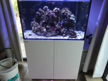 Aquarium marin Red Sea Reefer 350XL