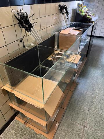 Aquarium kweekbakken, Dieren en Toebehoren, Ophalen of Verzenden, Gebruikt