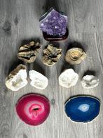 Ammonietfossielen/trilobieten en halfedelstenen - 50€, Ophalen of Verzenden, Mineraal