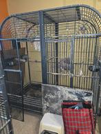 Plusieurs volière pour perroquet, Animaux & Accessoires, Enlèvement, Utilisé, Métal, Volière
