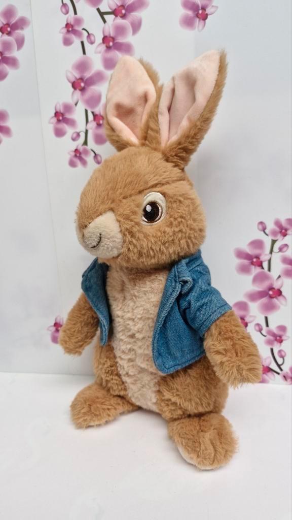🐰 Peter Rabbit Knuffel, Kinderen en Baby's, Speelgoed | Knuffels en Pluche, Ophalen of Verzenden
