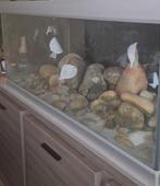 Aquarium 130cm, Dieren en Toebehoren, Ophalen, Gebruikt