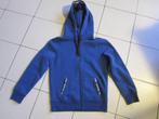 Sweater Hollister maat S, Blauw, Ophalen of Verzenden, Zo goed als nieuw, Maat 36 (S)