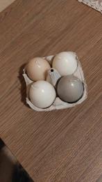 4 Eierkaarsen in eierdoosje, Huis en Inrichting, Woonaccessoires | Kandelaars en Kaarsen, Zo goed als nieuw, Kaars, Verzenden