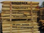 kastanje en robinia palen uitverkoop ..