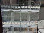 Cage d'élevage en parfait état, Comme neuf, Enlèvement ou Envoi