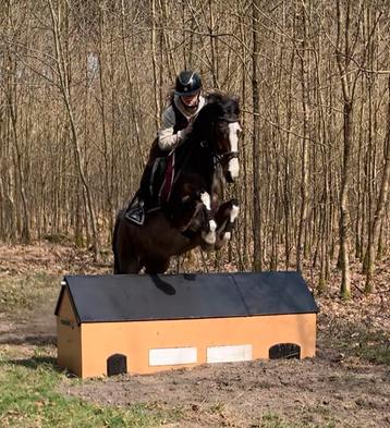 Ponette c de sport ou de loisirs hackney 10ans, L