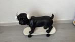 Hond op skatebord, Collections, Enlèvement, Comme neuf