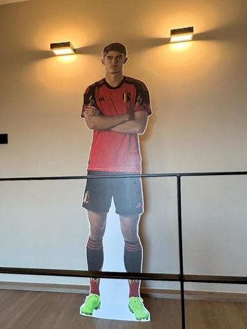 Charles De ketelare foto ware grote  beschikbaar voor biedingen