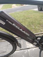 Speed pedelec te koop, Fietsen en Brommers, Ophalen, Gebruikt, Overige merken