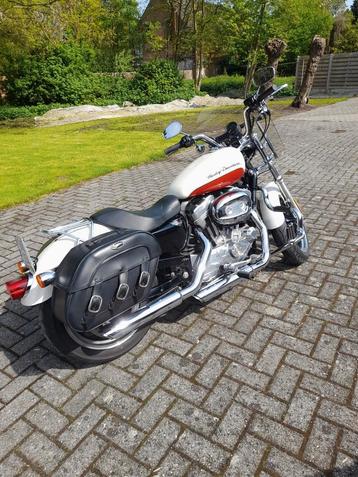 Harley-Davidson, Spotser 883 Superlow