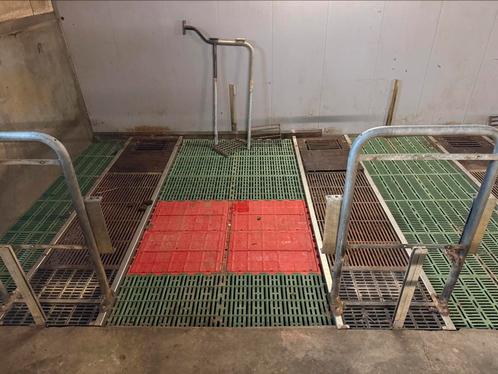 Vloer kraamhok zeug big, Dieren en Toebehoren, Schapen, Geiten en Varkens
