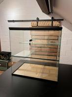 Gerbilarium en toebehoren 60x40x60, Dieren en Toebehoren, Ophalen, Zo goed als nieuw, Chinchilla