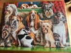 Castorland puzzel 3000 stukjes, Ophalen