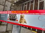 veiligheidrek honden voor auto, Dieren en Toebehoren, Honden-accessoires, Ophalen, Nieuw