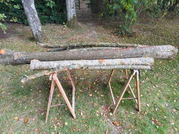 Hout voor een draaibank. beschikbaar voor biedingen