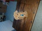 Peluche chiena pile, Doe-het-zelf en Bouw, Hout en Planken, Ophalen of Verzenden, Zo goed als nieuw