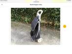 Boodschappen. Troley, Ophalen of Verzenden