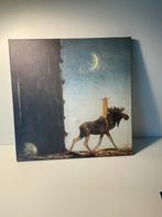 Ikea canvas- prinses rijden op amerikaanse eland, Antiek en Kunst, Ophalen of Verzenden