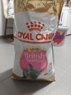 Royal Canin Britse korthaar kitten (zak open), Dieren en Toebehoren, Ophalen