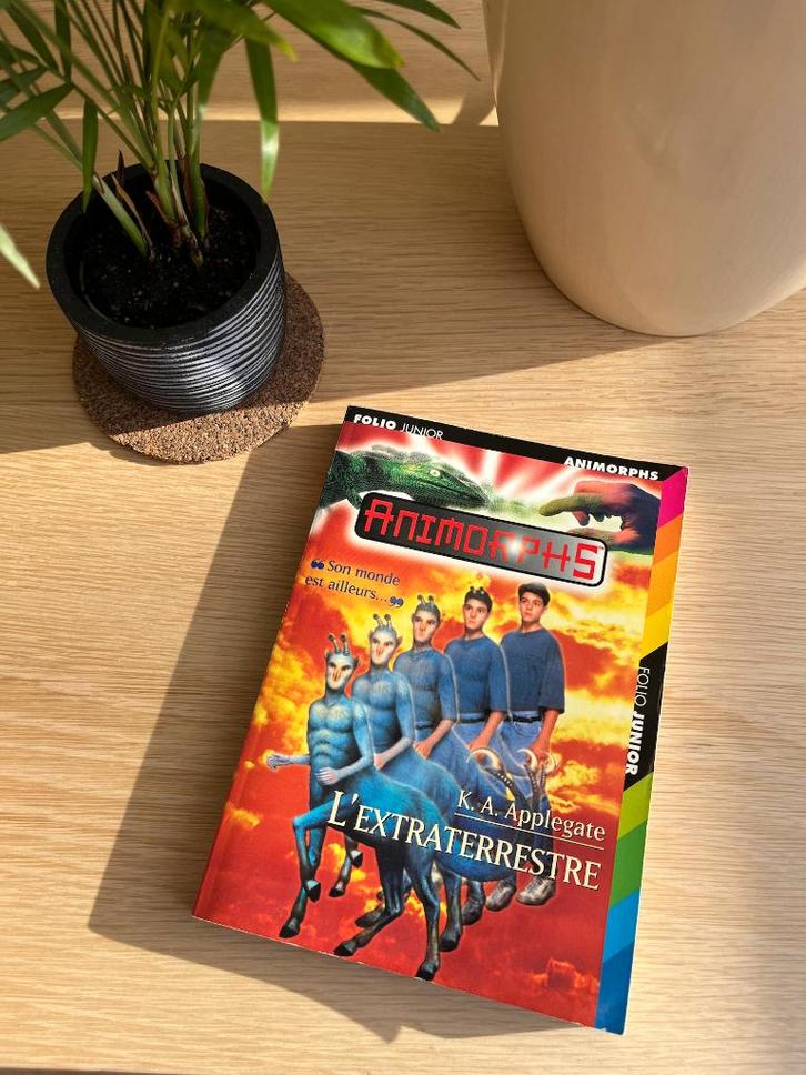Animorphs - Tome 8 : L'Extraterrestre, Boeken, Science fiction, Zo goed als nieuw