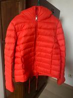 Hugo Boss jas Maat 40 D rood Premium Down, Kleding | Dames, Maat 38/40 (M), Ophalen of Verzenden, Zo goed als nieuw, Rood
