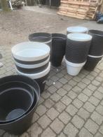 Pots de fleurs, Enlèvement, Neuf, Synthétique, Intérieur