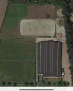 Stalling / stallen te huur op professionele accommodatie, Dieren en Toebehoren