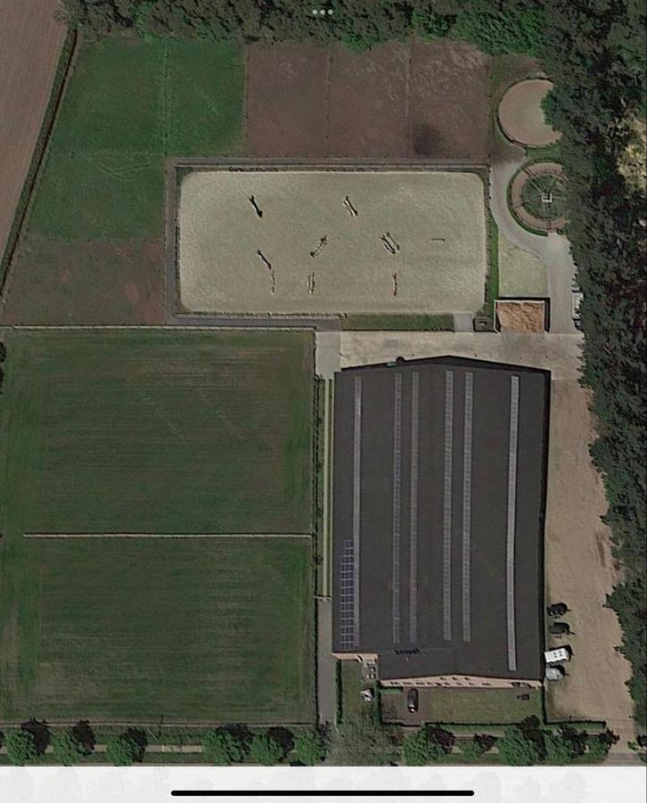 Stalling / stallen te huur op professionele accommodatie, Dieren en Toebehoren, Paarden