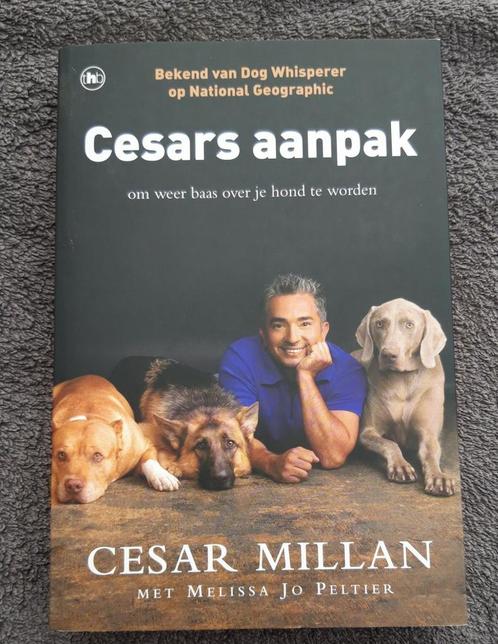 Cesar Millan - Cesars aanpak, Boeken, Dieren en Huisdieren, Nieuw, Honden, Ophalen of Verzenden