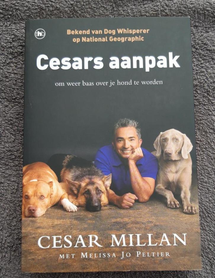 Cesar Millan - Cesars aanpak, Boeken, Dieren en Huisdieren, Nieuw, Honden, Ophalen of Verzenden
