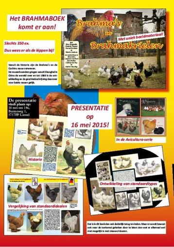 🐔📘 Hét Brahma-boek – nog steeds dé standaard! beschikbaar voor biedingen