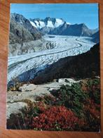 Postkaart Zwitserland Aletschwald 19413, Verzamelen, Ophalen of Verzenden