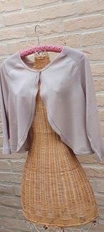 Kort vestje maat m sixth sense, Kleding | Dames, Truien en Vesten, Maat 38/40 (M), Overige kleuren, SIXTH SENSE, Ophalen of Verzenden