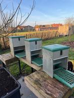 3 trapbakken voor kippen, Dieren en Toebehoren, Ophalen, Zo goed als nieuw, Drinken en Voederen