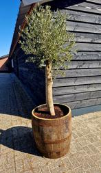 Eikenhouten bloembakken - tuindecoratie - vaten - planten, Tuin en Terras, Ophalen, Tuin, Rond, Zo goed als nieuw