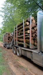 Bois de chauffage 2m-4m et grumes par camion complet, Tuin en Terras, Brandhout, Ophalen, Berkenhout