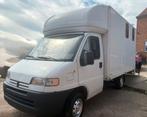Bakwagen voor autocross of paardenvervoer, Auto's, Particulier, Te koop