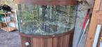 Aqarium juwel 350   hoekmodel, Enlèvement, Comme neuf