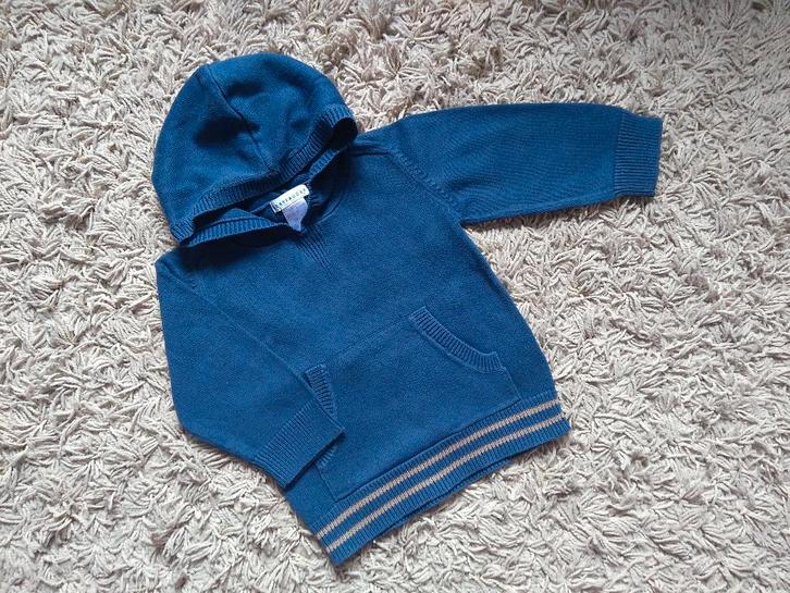 ★ M80 - Deftige trui met kap, Kinderen en Baby's, Babykleding | Maat 80, Gebruikt, Jongetje, Truitje of Vestje, Ophalen of Verzenden