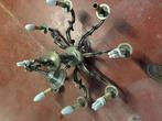 luster,, Huis en Inrichting, Lampen | Kroonluchters, Ophalen, Gebruikt