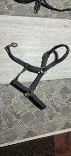 Halster shetland / pony, Dieren en Toebehoren, Ophalen of Verzenden, Zo goed als nieuw