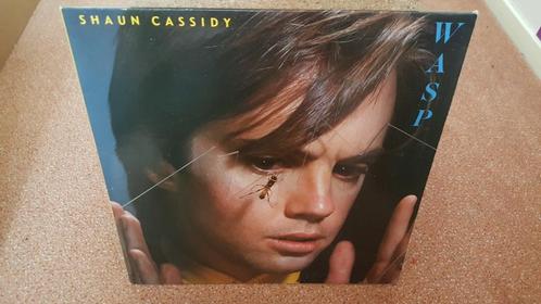 SHAUN CASSIDY - WASP (1980) (LP), Cd's en Dvd's, Vinyl | Pop, Zo goed als nieuw, 1980 tot 2000, 10 inch, Verzenden
