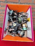 Doos vol moelens vis te koop, Ophalen