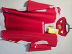 Standard Liege shirt, Verzamelen, Ophalen of Verzenden, Nieuw, Shirt